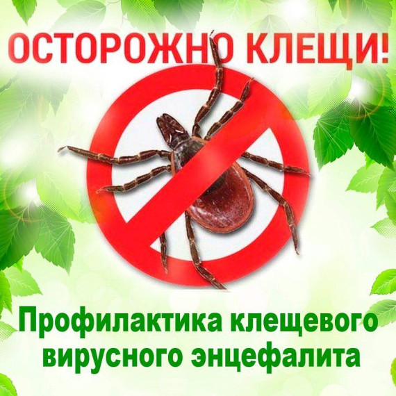 Управление Роспотребнадзора по Томской области объявило работу "горячей линии" по вопросам профилактики клещевого энцефалита..